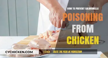 Safe Chicken Handling: Preventing Salmonella Poisoning in Your Kitchen
