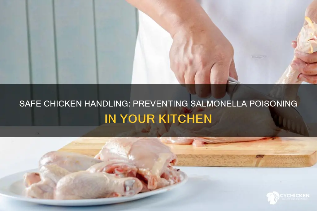 how to prevent salmonella poisoning from chicken