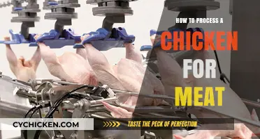 From Coop to Kitchen: A Beginner's Guide to Processing Chickens for Meat