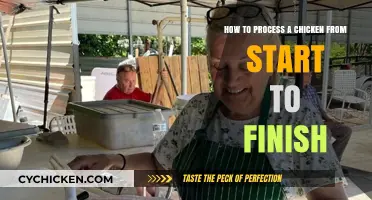The Complete Guide to Processing a Chicken