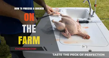 Farm-Fresh Poultry Processing: A Step-by-Step Guide to Chicken Butchering