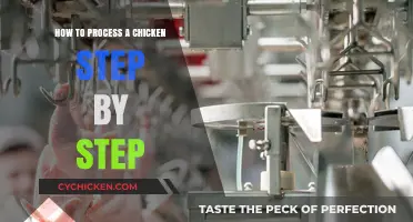 Mastering Chicken Processing: A Detailed Step-by-Step Guide for Beginners