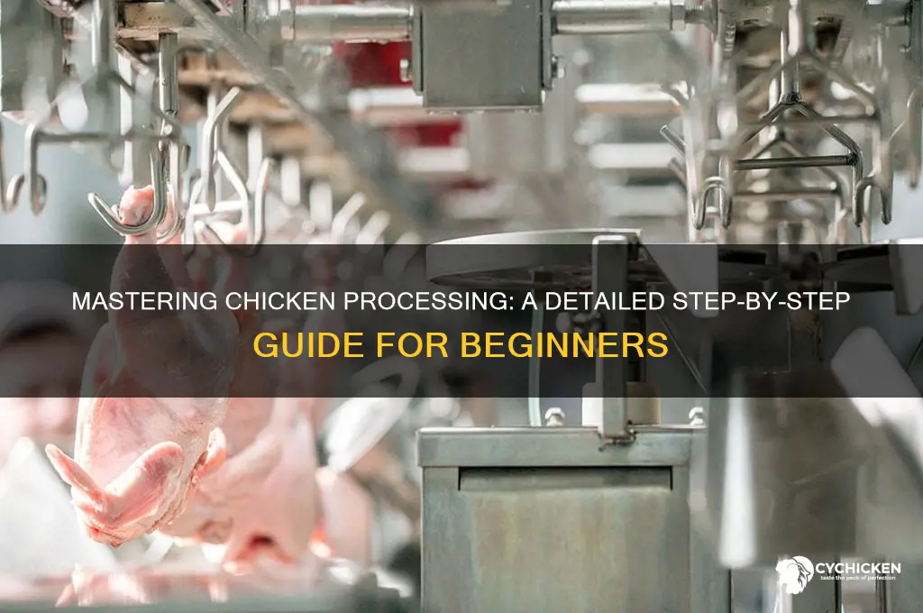 how to process a chicken step by step