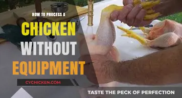 Hand-Processing Chickens: Simple Techniques for Equipment-Free Butchering