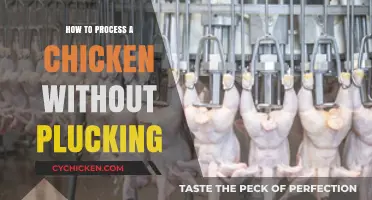 Skin-On Chicken Processing: A Pluck-Free Guide for Home Butchers