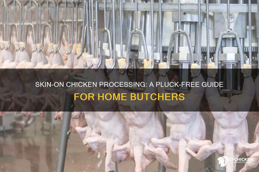 how to process a chicken without plucking
