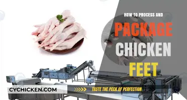 Mastering Chicken Feet Processing: A Guide to Cleaning, Packaging, and Preservation