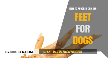 Processing Chicken Feet for Dogs: A Step-by-Step Guide