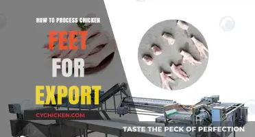 Mastering Chicken Feet Processing for Successful International Export Business