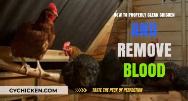 Mastering Chicken Cleaning: Tips to Remove Blood and Ensure Hygiene