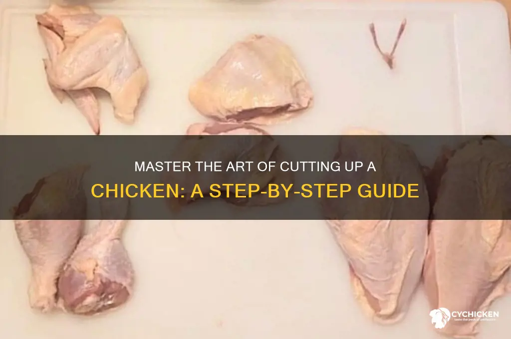 how to properly cut up a chicken