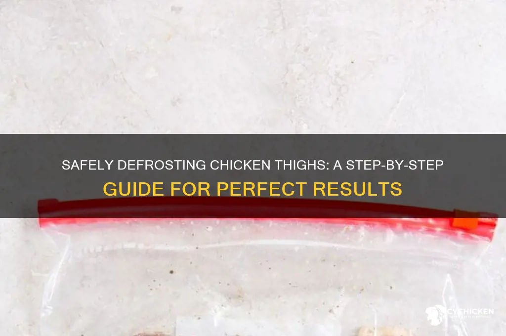 how to properly defrost chicken thighs