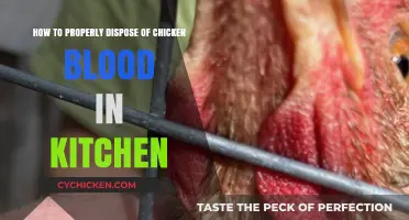 Safe Chicken Blood Disposal: A Kitchen Guide