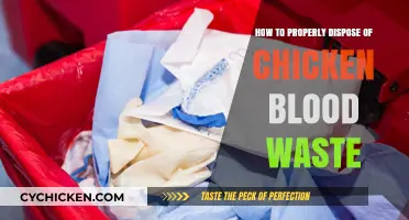 Eco-Friendly Chicken Blood Waste Disposal: Safe and Responsible Methods