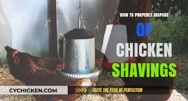 Eco-Friendly Tips for Disposing of Chicken Shavings Safely and Responsibly