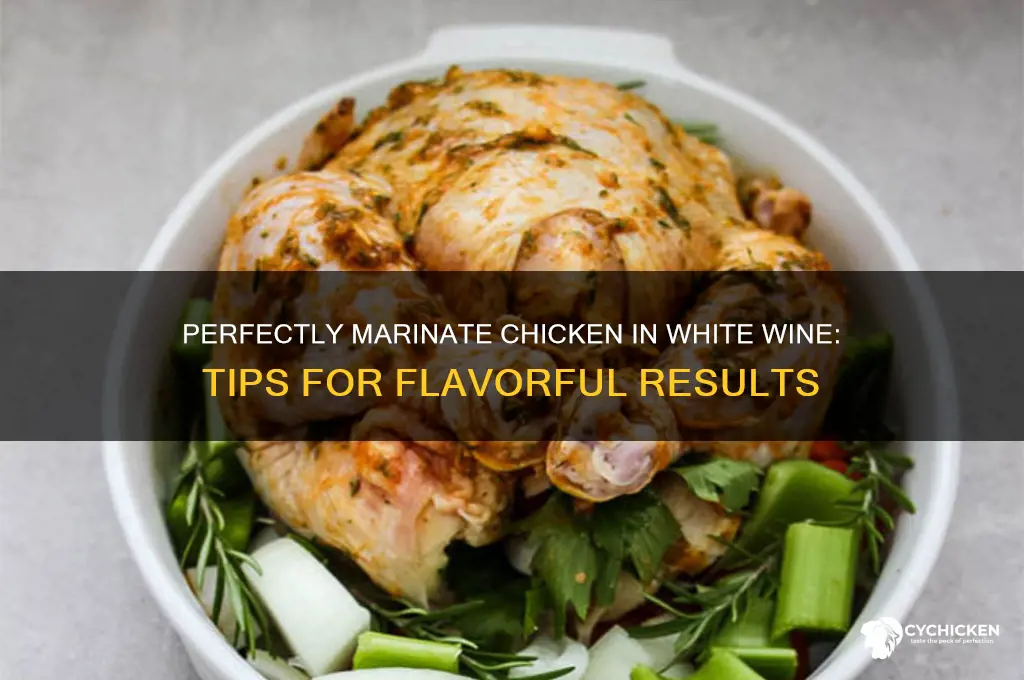 how to properly marinate chicken in white wine