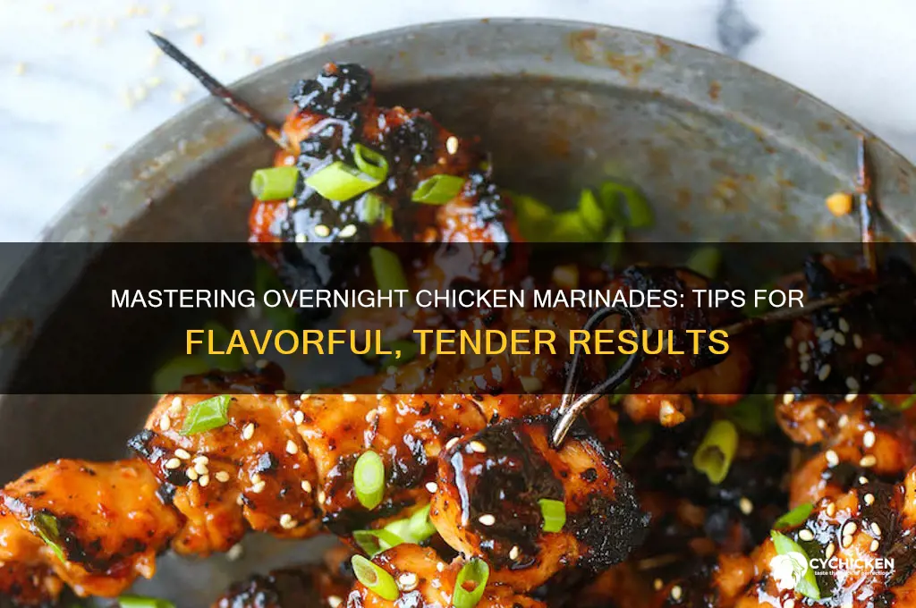 how to properly marinate chicken over night