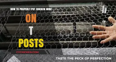 Chicken Wire Installation: T-Posts Guide