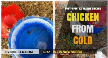Protecting Frazzle Chickens from Cold: Essential Winter Care Tips