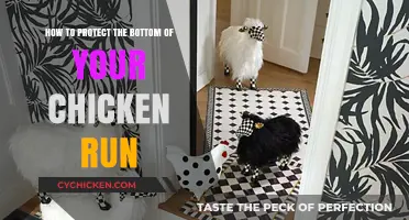 Protecting Your Chicken Run: A Guide to Coop Safety