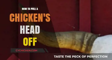Quick Guide: Humane Chicken Head Removal Techniques Explained