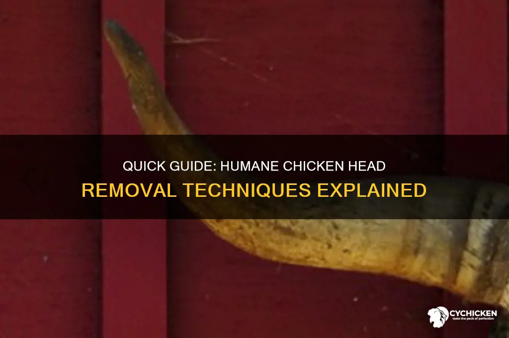how to pull a chicken
