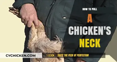 Humane Chicken Neck Pulling: A Step-by-Step Guide for Farmers