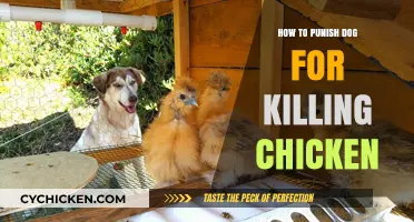 Effective Dog Discipline: Addressing Chicken Killing Behavior Responsibly
