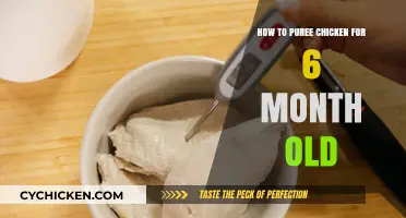 Easy Homemade Chicken Puree Recipe for 6-Month-Old Babies