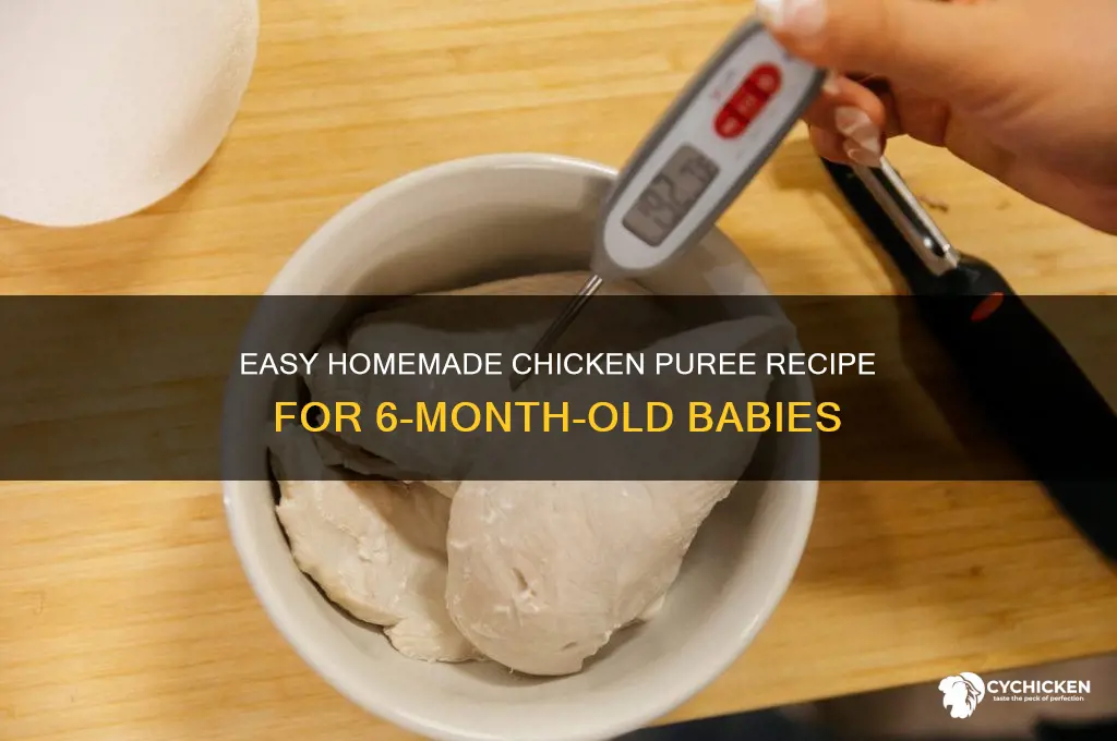 how to puree chicken for 6 month old