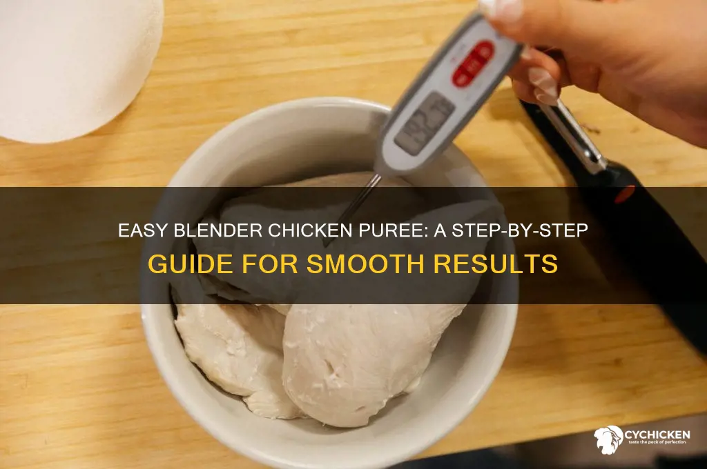 how to puree chicken in a blender