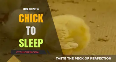 Gentle Techniques to Help Your Baby Chick Sleep Peacefully