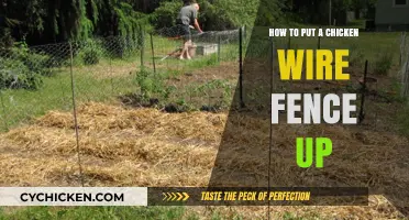 Step-by-Step Guide to Installing a Chicken Wire Fence Easily