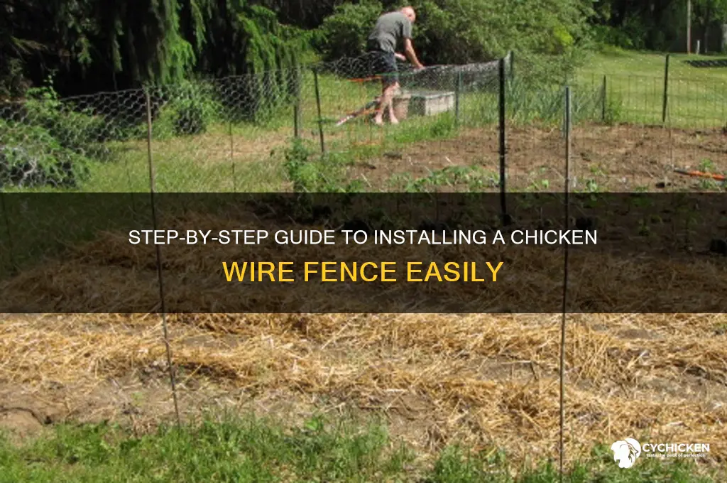how to put a chicken wire fence up