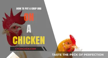 Style Your Chicken: Crop Bra Edition