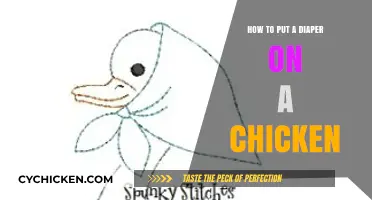 Diapering Your Chicken: A Step-by-Step Guide for Poultry Owners