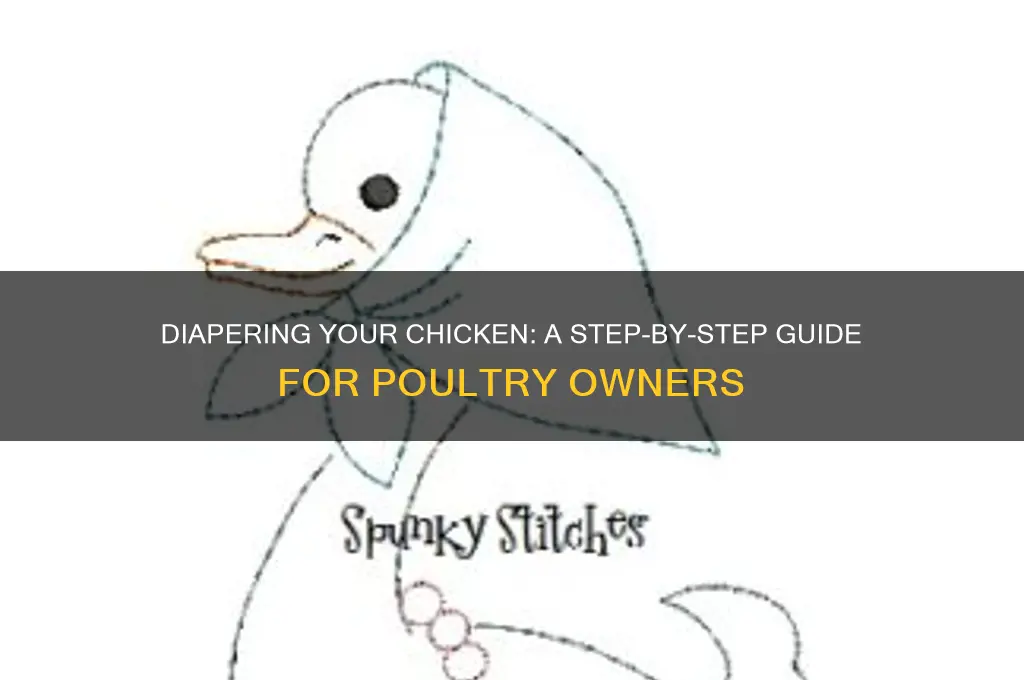 how to put a diaper on a chicken