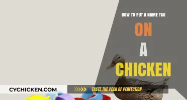 The Art of Tagging Chickens: A Step-by-Step Guide