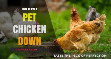Compassionate Guide to Euthanizing Your Pet Chicken with Care and Respect