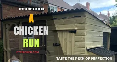 Building a Safe Haven: Roofing Your Chicken Run