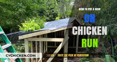 DIY Chicken Run Roof: Easy Steps for Weatherproof Protection