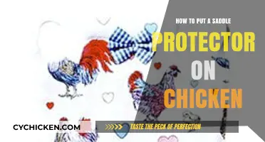 Easy Steps to Safely Fit a Saddle Protector on Your Chicken