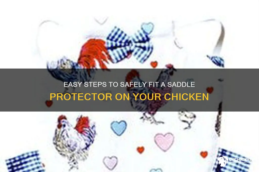 how to put a saddle protector on chicken