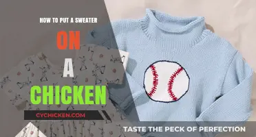 Cozy Chicken Care: A Step-by-Step Guide to Dressing Your Flock