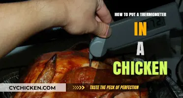 Properly Using a Thermometer to Check Your Chicken's Temperature