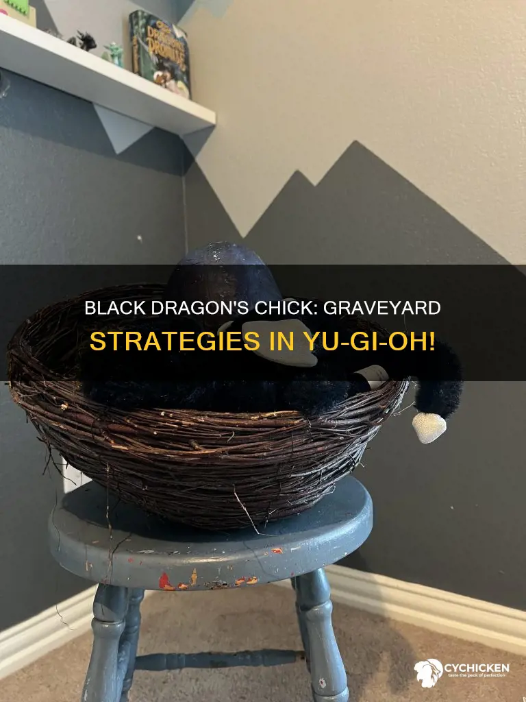 how to put black dragon