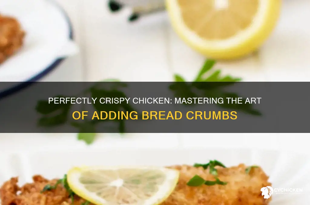 how to put bread crumbs on chicken