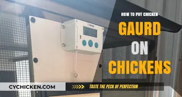 Effective Chicken Guard Installation: Protecting Your Flock Step-by-Step