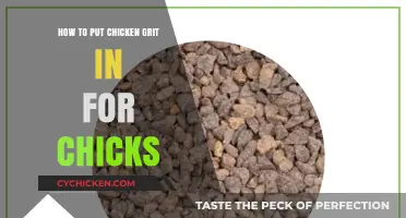 Essential Tips for Adding Chicken Grit to Your Chicks' Diet
