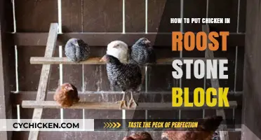 Mastering Chicken Roosting: Placing Chickens in Stone Block Roosts